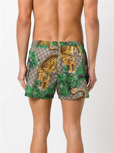 gucci bengali tiger swim trunks